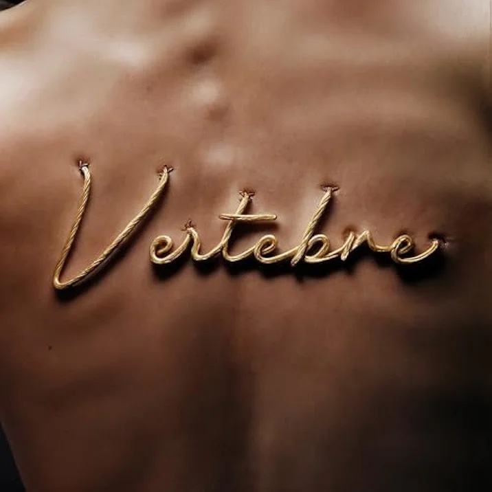 VERTEBRE - Isola degli Artisti